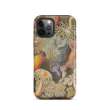 Sea Anemones - Ernst Haeckel Phone Case Iphone 12 Pro / Matte Sea Anemone Patterned Phone Case Ernst Haeckel, Sentient Flares, Cup-spined