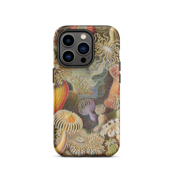 Sea Anemones - Ernst Haeckel Phone Case Iphone 14 Pro / Matte Sea Anemone Patterned Phone Case Ernst Haeckel, Sentient Flares, Cup-spined