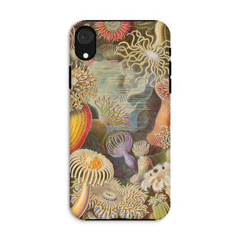 Sea Anemones - Ernst Haeckel Phone Case Iphone Xr / Matte Floral-patterned Phone Case Ernst Haeckel, Sentient Flares, Cup-spined Monarchs