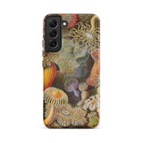 Sea Anemones - Ernst Haeckel Samsung Case, Galaxy S22 Plus / Matte, Smartphone Case Vibrant Detailed Illustration Underwater Marine Life