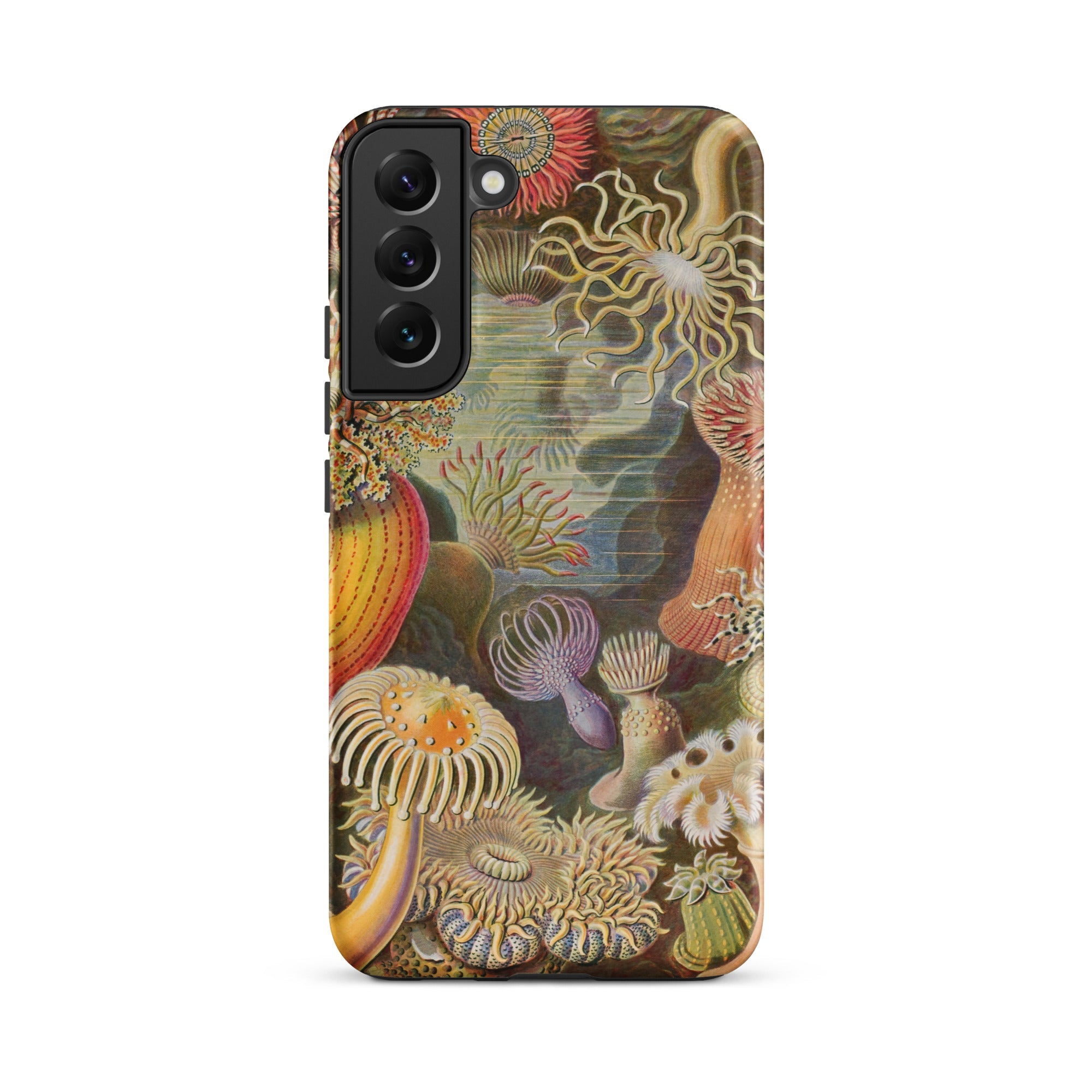 Sea Anemones Ernst Haeckel Samsung Case, Galaxy S22 Plus / Matte, Smartphone Case Vibrant Detailed Illustration Underwater Marine Life