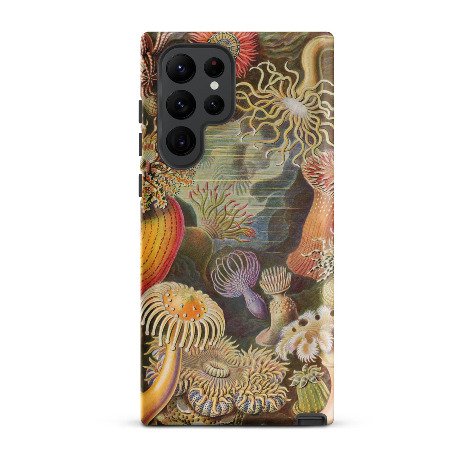 Sea Anemones Ernst Haeckel Samsung Case, Galaxy S22 Ultra / Matte, Phone Case Detailed Colorful Illustration Sea Anemones Coral