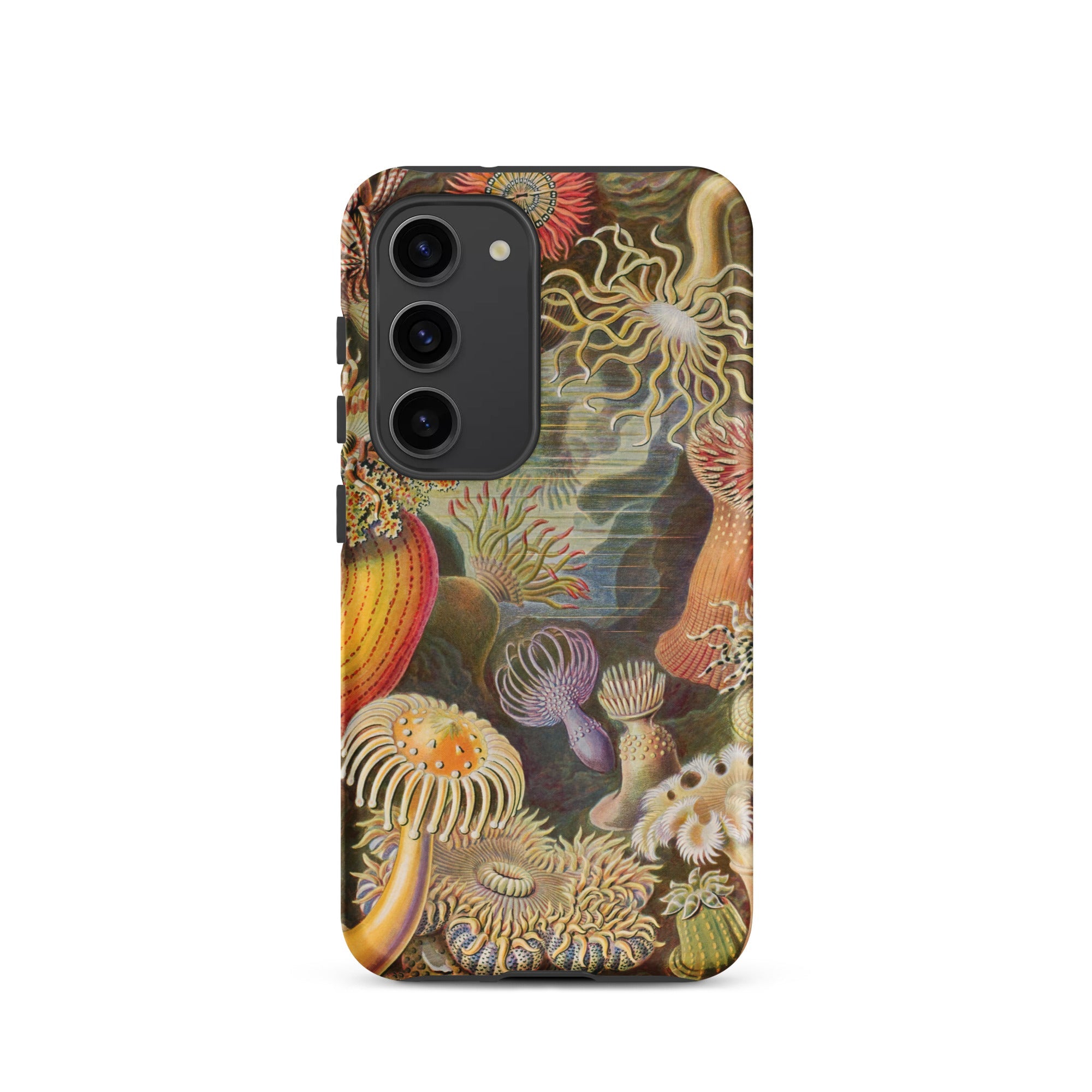 Sea Anemones Ernst Haeckel Samsung Case, Galaxy S23 / Matte, Phone Case Colorful Underwater Scene Sea Anemones Corals