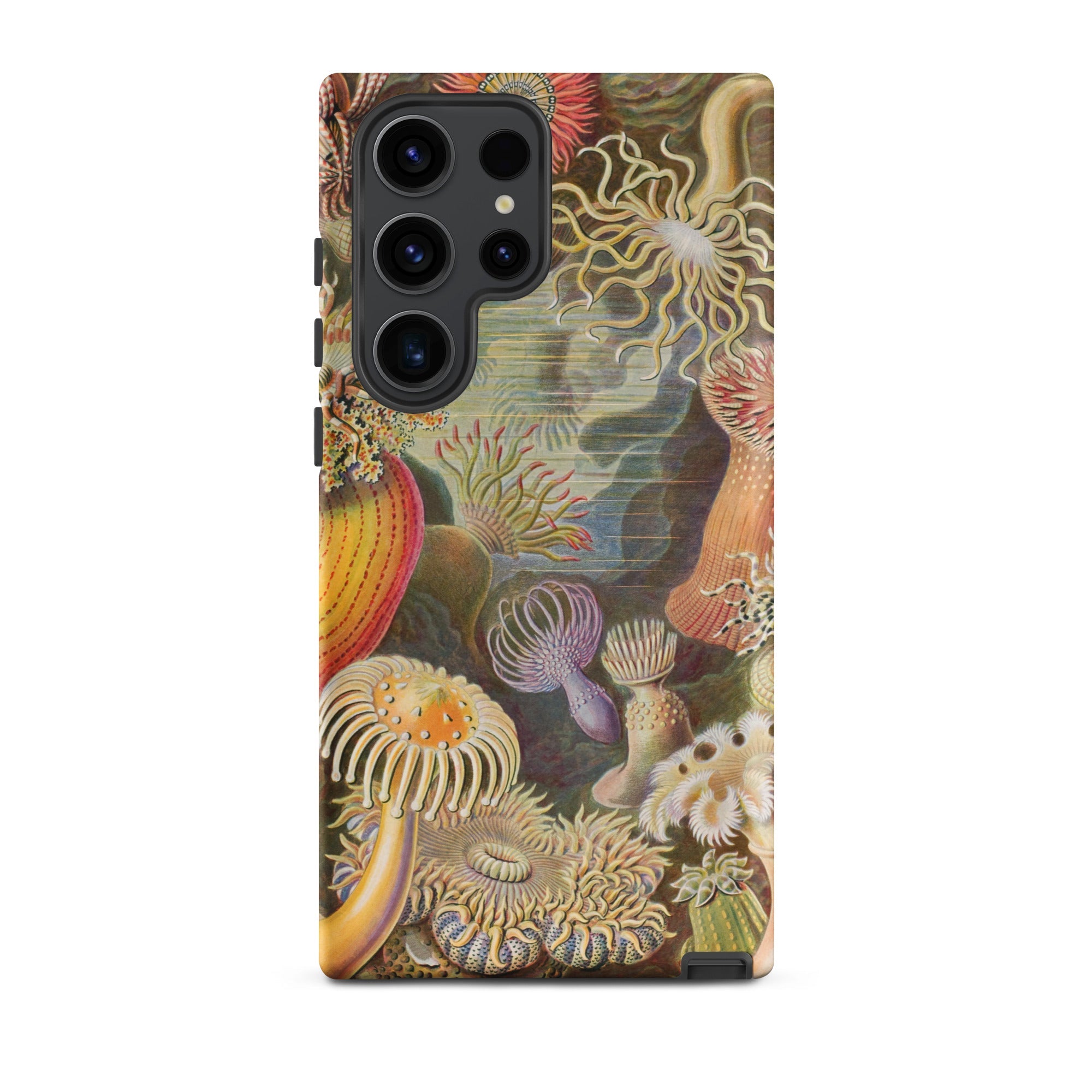 Sea Anemones Ernst Haeckel Samsung Case, Galaxy S23 Ultra / Matte, Smartphone Case Vibrant Intricate Illustration Sea Anemones