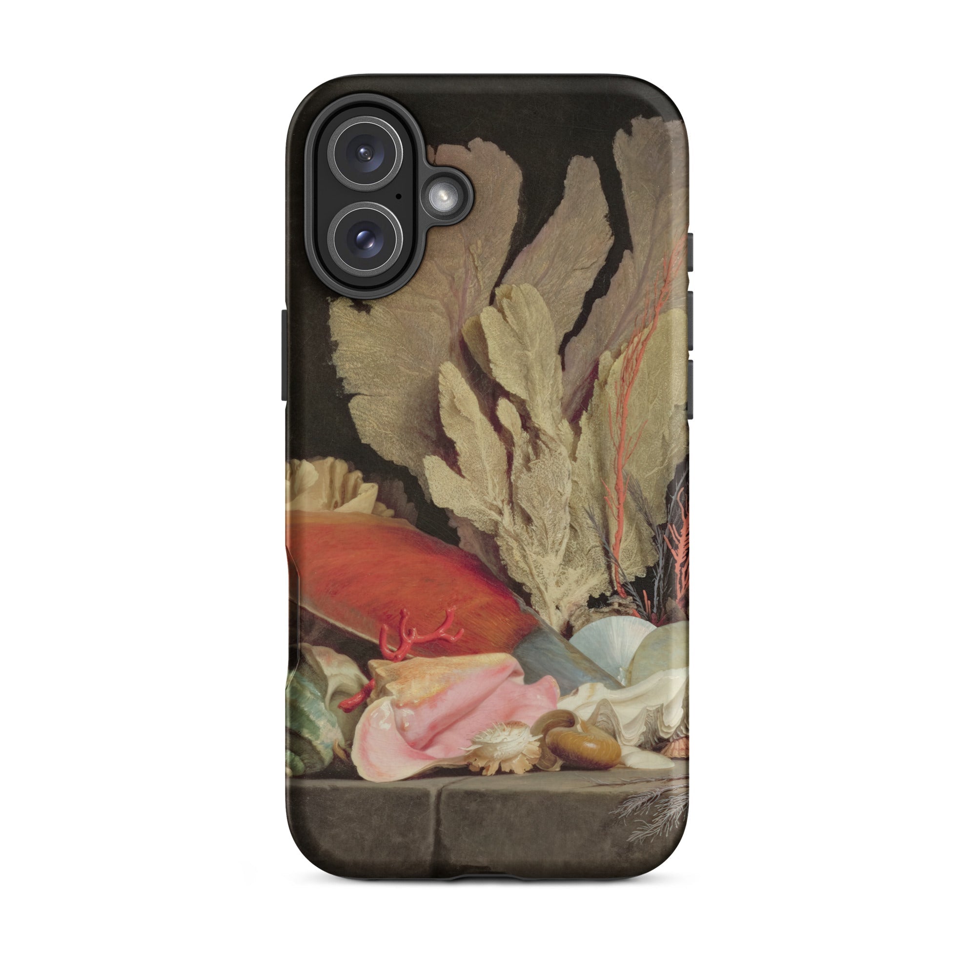 Seaweed Lithophytes & Seashells Anne Vallayer Coster Iphone Case, 16 Plus / Matte, Phone Case Marine Life Design