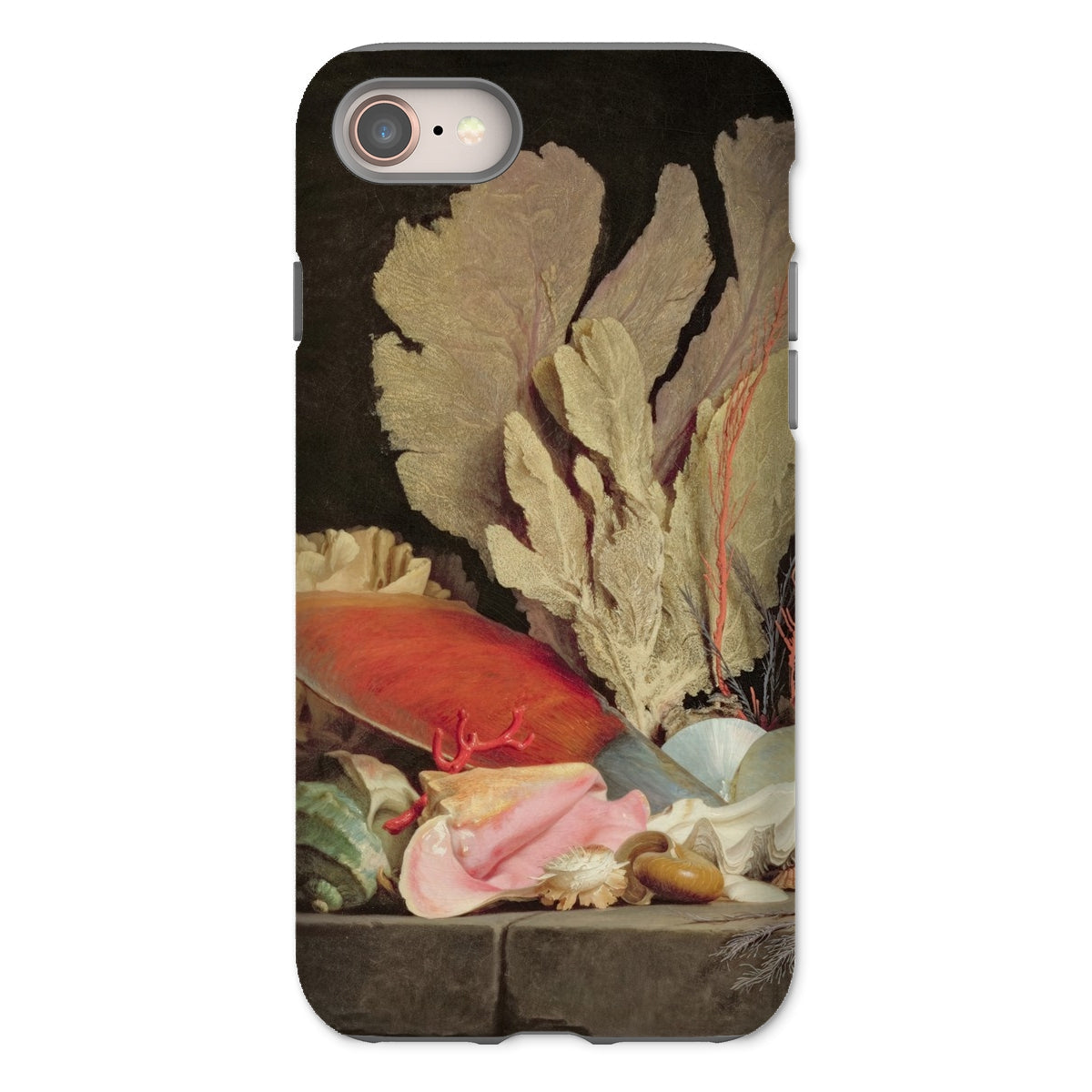 Seaweed Lithophytes & Seashells Anne Vallayer Coster Iphone Case, 8 / Matte, Phone Case Life Painting