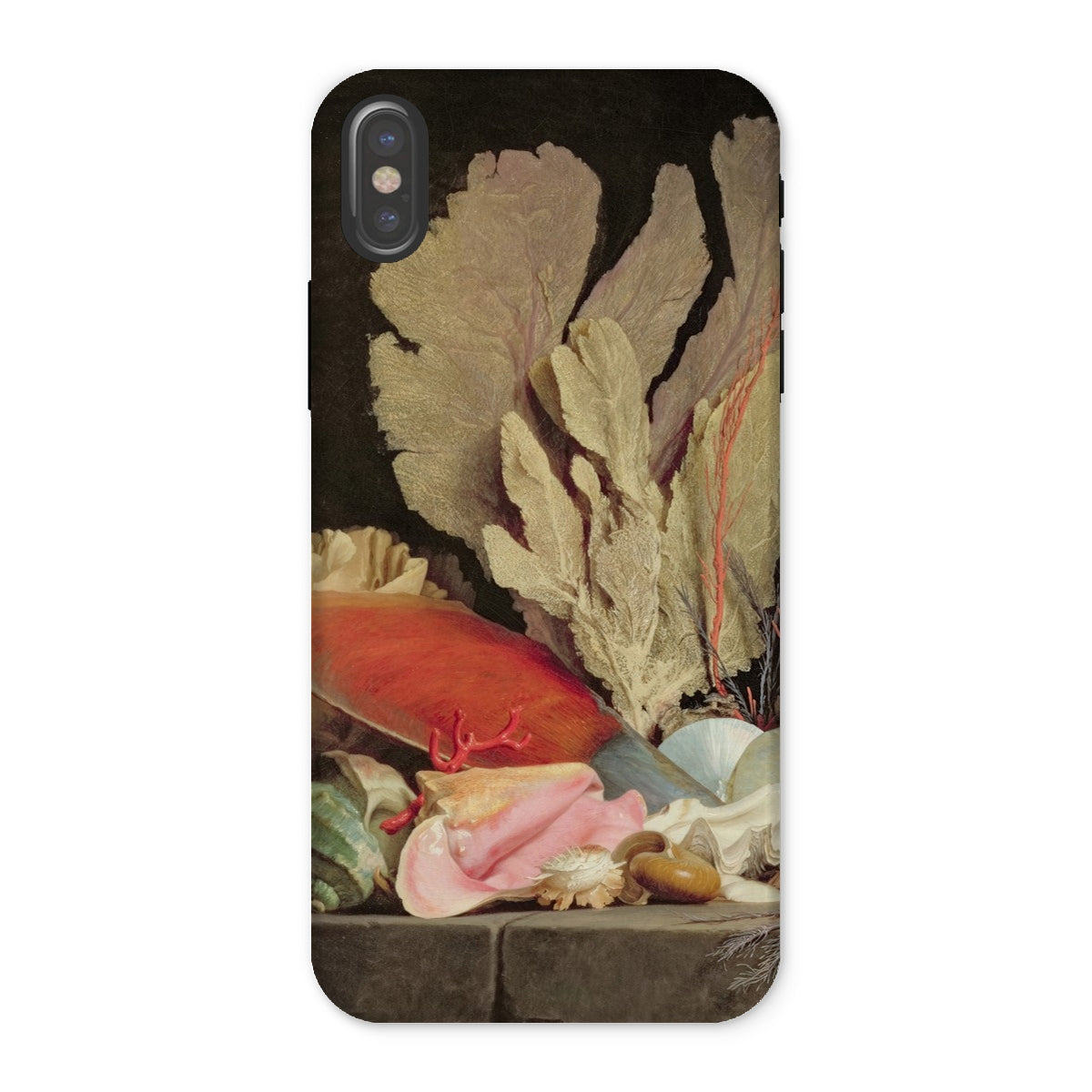 Seaweed Lithophytes & Seashells Anne Vallayer Coster Iphone Case, x / Matte, Phone Case Life Seashells Coral