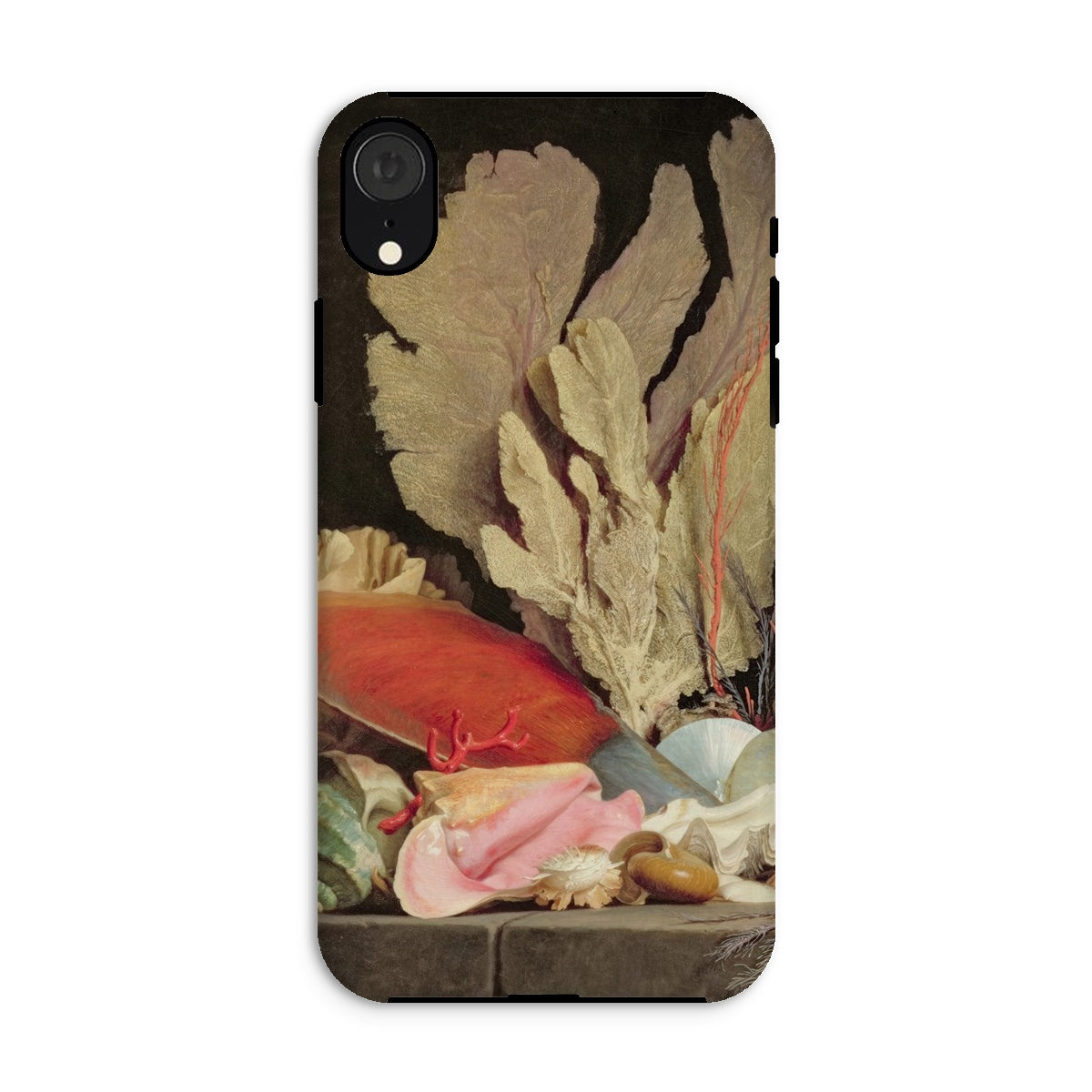 Seaweed Lithophytes & Seashells Anne Vallayer Coster Iphone Case, Xr / Matte, Phone Case Marine Life