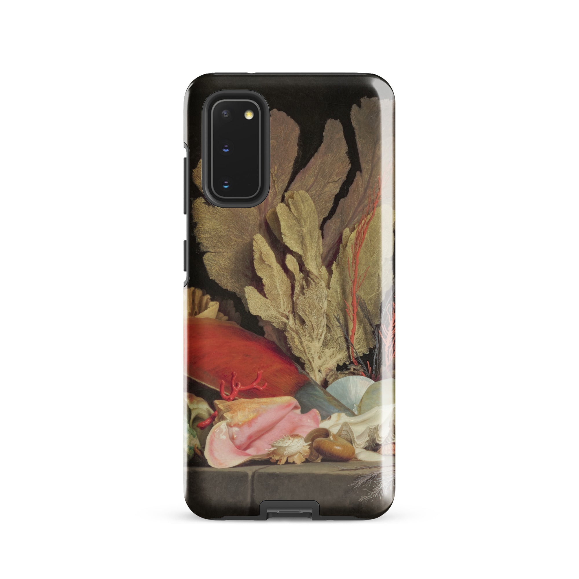 Seaweed Lithophytes & Seashells Anne Vallayer Coster Samsung Case, Galaxy S20 / Gloss, Smartphone Decorative Case Still Life Painting
