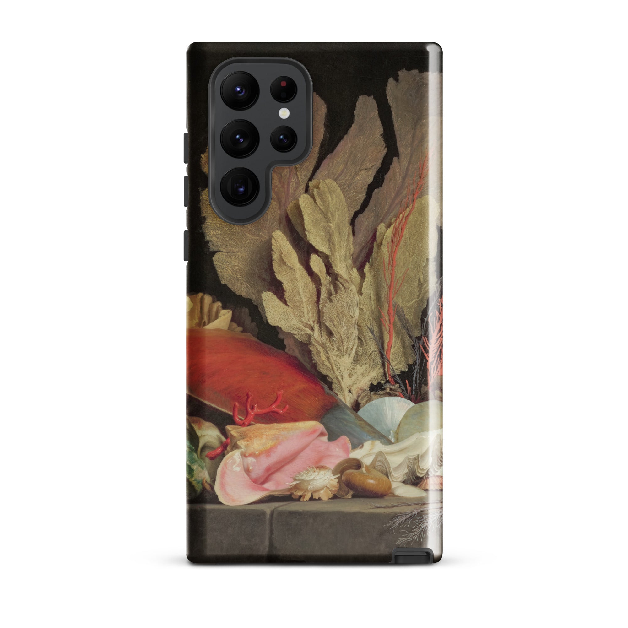 Seaweed Lithophytes & Seashells Anne Vallayer Coster Samsung Case, Galaxy S22 Ultra / Gloss, Phone Case Underwater Life Coral Shells