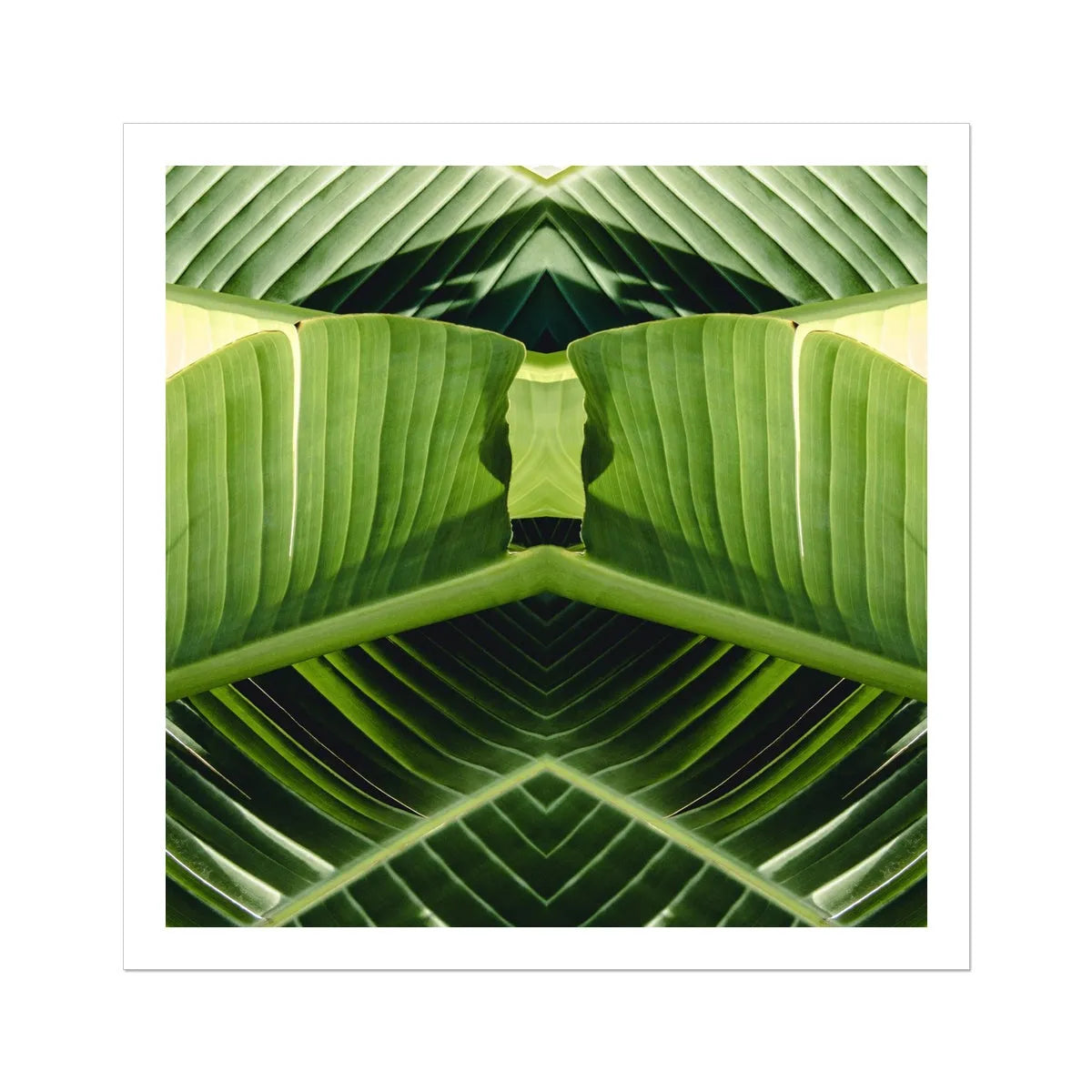 Semaphore Leaf Art Print - Mirrored Modern Botanicals - 30’x30’ - Posters Prints & Visual Artwork - Aesthetic Art