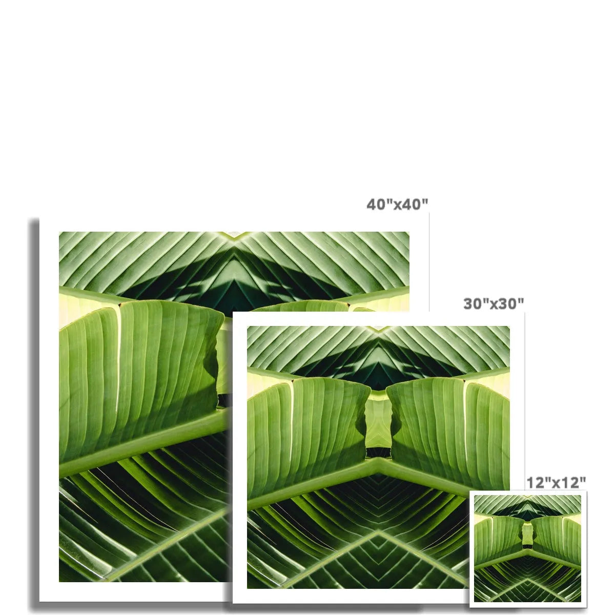 Semaphore Leaf Art Print - Mirrored Modern Botanicals - Posters Prints & Visual Artwork - Aesthetic Art