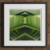 Semaphore - Palm Frond Botanical Op Art Print, 12x12’’ / 31x31cm / Black Frame / 2’’ Matboard, Framed Abstract Artwork Mirrored Green
