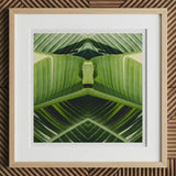 Semaphore - Palm Frond Botanical Op Art Print, 12x12’’ / 31x31cm / Natural Frame / 2’’ Matboard, Framed Square Abstract Art Print