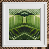 Semaphore - Palm Frond Botanical Op Art Print, 12x12’’ / 31x31cm / White Frame / 2’’ Matboard, Framed Abstract Art Print Green Banana Leaves