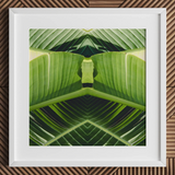 Semaphore - Palm Frond Botanical Op Art Print, 12x12’’ / 31x31cm / White Frame / 2’’ Matboard, Posters Prints & Visual Artwork, Toby Leon