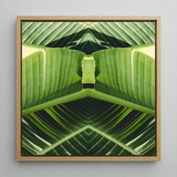 Semaphore - Botanischer Op-Art-Print mit Palmwedel / Leinwand, 12x12’’ / 31x31cm / Naturrahmen, Poster, Drucke & visuelle Kunstwerke, Toby Leon