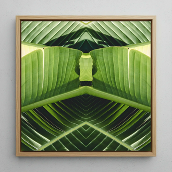 Semaphore - Botanischer Op-Art-Print mit Palmwedel / Leinwand, 12x12’’ / 31x31cm / Naturrahmen, Poster, Drucke & visuelle Kunstwerke, Toby Leon