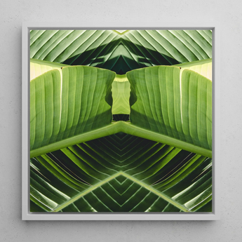 Semaphore - Botanischer Op-Art-Print mit Palmwedel / Leinwand, 12x12’’ / 31x31cm / Weißer Rahmen, Poster, Drucke & visuelle Kunstwerke, Toby Leon