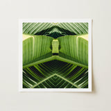Semaphore - Palm Frond Botanical Op Art Print / Canvas Square-framed Symmetrical Kaleidoscopic Design Vibrant, Verdant Vortex, Prints