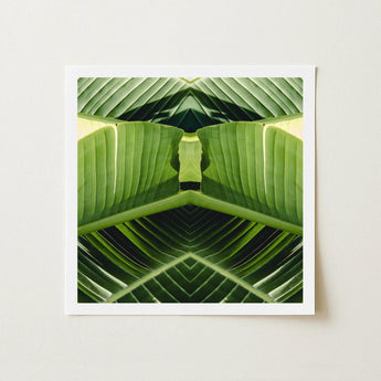 Semaphore - Palm Frond Botanical Op Art Print / Canvas Square-framed Symmetrical Kaleidoscopic Design Vibrant, Verdant Vortex, Prints