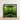 Framed Artwork Symmetrical Kaleidoscopic Design Vibrant Green Banana Palm Frond Botanical, Verdant Vortex, Op Art