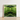 White-framed Art Print Symmetrical Kaleidoscopic Design Vibrant Green Palm Frond Botanical, Verdant Vortex, Op