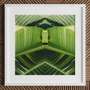 Semaphore - Palm Frond Botanical Op Art Print / Canvas Framed Photographic Print Symmetrical Kaleidoscopic Design Vibrant Green Palm Frond