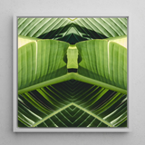 Semaphore - Palm Frond Botanical Op Art Print / Canvas Framed Square Art Print Symmetrical Kaleidoscopic Design Vibrant Palm Frond