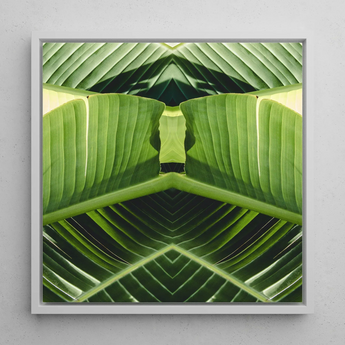 Semaphore - Palm Frond Botanical Op Art Print / Canvas Framed Square Art Print Symmetrical Kaleidoscopic Design Vibrant Palm Frond