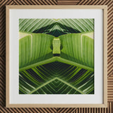 Semaphore - Palm Frond Botanical Op Art Print / Canvas Framed Botanical Print Symmetrical Kaleidoscopic Pattern Vibrant Green Palm Frond