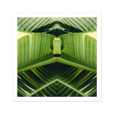 Semaphore - Palm Frond Botanical Op Art Print / Canvas Mirrored Green Banana Leaves Symmetrical Geometric Pattern Palm Frond Botanical,