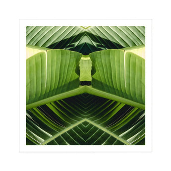 Semaphore - Palm Frond Botanical Op Art Print / Canvas Mirrored Green Banana Leaves Symmetrical Geometric Pattern Palm Frond Botanical,