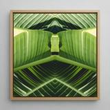Semaphore - Palm Frond Botanical Op Art Print / Canvas Square-framed Artwork Symmetrical Kaleidoscopic Design Vibrant Green Banana Palm