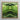 Square-framed Artwork Symmetrical Kaleidoscopic Design Vibrant Green Banana Palm Frond Botanical, Verdant Vortex, Op Art