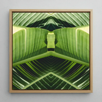 Semaphore - Palm Frond Botanical Op Art Print / Canvas Square-framed Artwork Symmetrical Kaleidoscopic Design Vibrant Green Banana Palm
