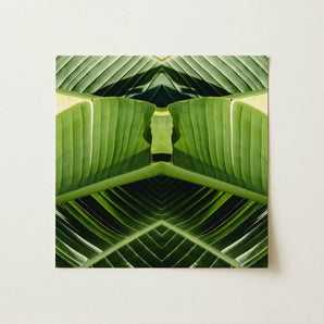 Semaphore - Palm Frond Botanical Op Art Print / Canvas Square Canvas Print Symmetrical Kaleidoscopic Design Vibrant Green Palm Frond