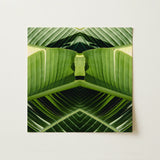 Semaphore - Palm Frond Botanical Op Art Print / Canvas Square Canvas Print Symmetrical Kaleidoscopic Design Vibrant Green Palm Frond