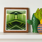 Semaphore - Palm Frond Botanical Op Art Print