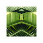 Semaphore - Palm Frond Botanical Op Art Print Posters Prints & Visual Artwork