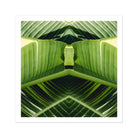 Semaphore - Palm Frond Botanical Op Art Print