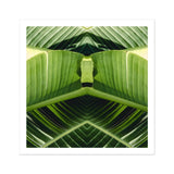 Semaphore - Palm Frond Botanical Op Art Print, Mirrored Green Banana Leaves Symmetrical Geometric Pattern