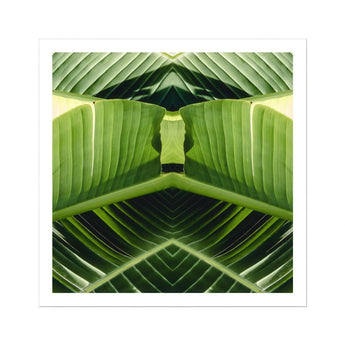 Semaphore - Palm Frond Botanical Op Art Print, Mirrored Green Banana Leaves Symmetrical Geometric Pattern