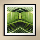 Semaphore - Palm Frond Botanical Op Art Print