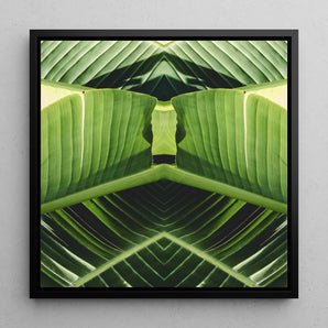 Semaphore - Palm Frond Op Art Framed Canvas, 12x12’’ / 31x31cm / Black Floating Frame, Symmetrical Pattern Green Banana Leaves Geometric