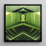 Semaphore - Palm Frond Op Art Framed Canvas, 12x12’’ / 31x31cm / Black Floating Frame, Symmetrical Pattern Green Banana Leaves Geometric
