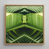 Semaphore - Palm Frond Op Art Framed Canvas, 12x12’’ / 31x31cm / Natural Floating Frame, Framed Canvas Print Mirrored Abstract Green Banana