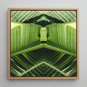 Semaphore - Palm Frond Op Art Framed Canvas, 12x12’’ / 31x31cm / Natural Floating Frame, Framed Canvas Print Mirrored Abstract Green Banana