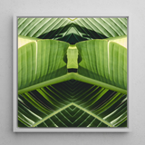 Semaphore - Palm Frond Op Art Framed Canvas, 12x12’’ / 31x31cm / White Floating Frame, Symmetrical Green Leaf Pattern White Frame