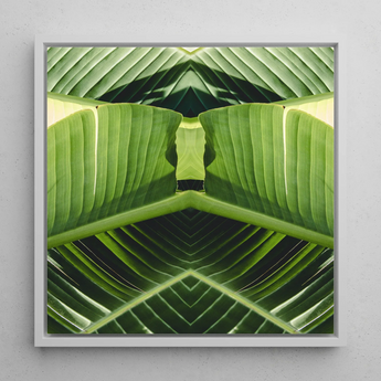 Semaphore - Palm Frond Op Art Framed Canvas, 12x12’’ / 31x31cm / White Floating Frame, Symmetrical Green Leaf Pattern White Frame